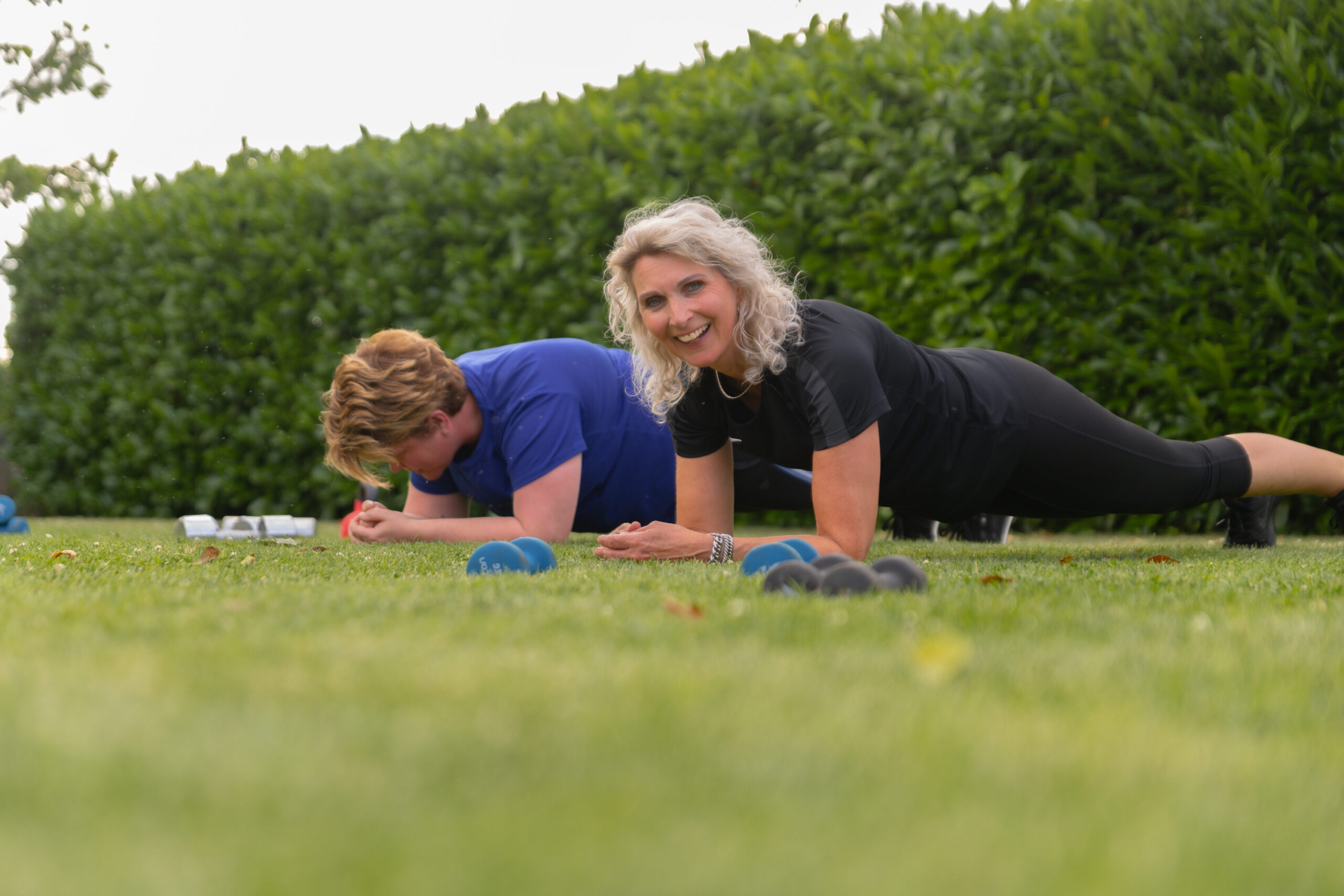 Switchfasten - Primavit